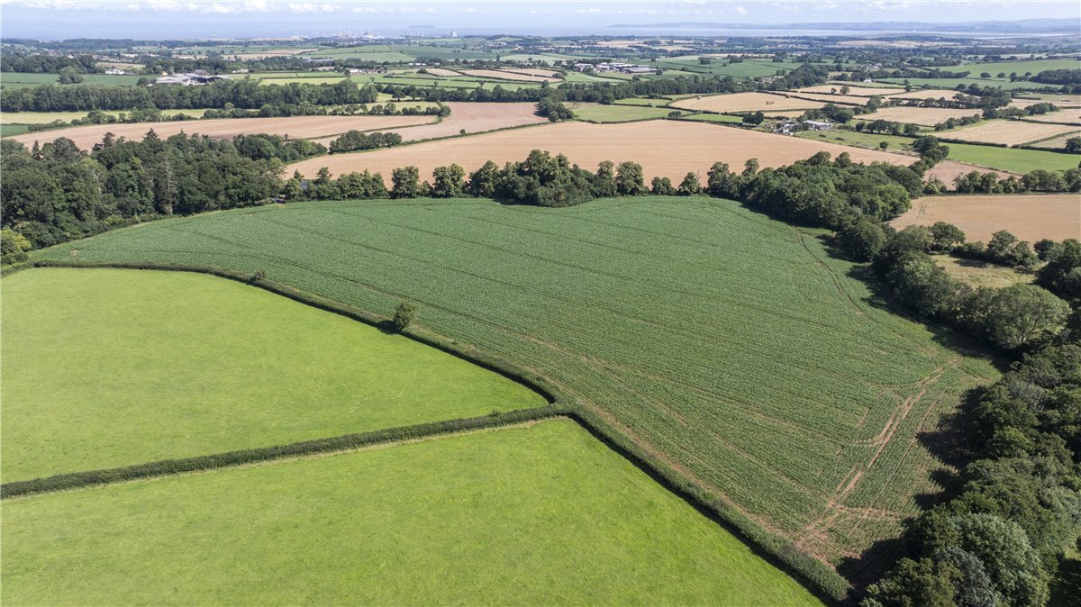 19.3 acres Land, Land At Spaxton, Bridgwater TA5 - Sold