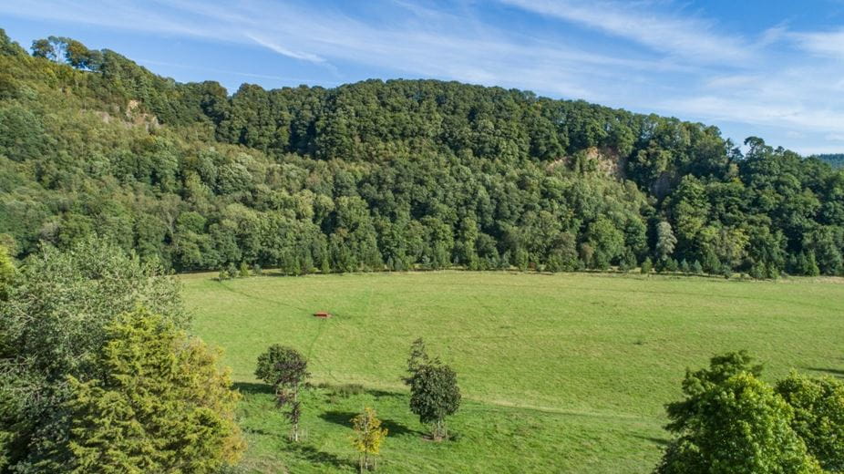 24.1 acres Land, Bampton, Tiverton EX16 - Available