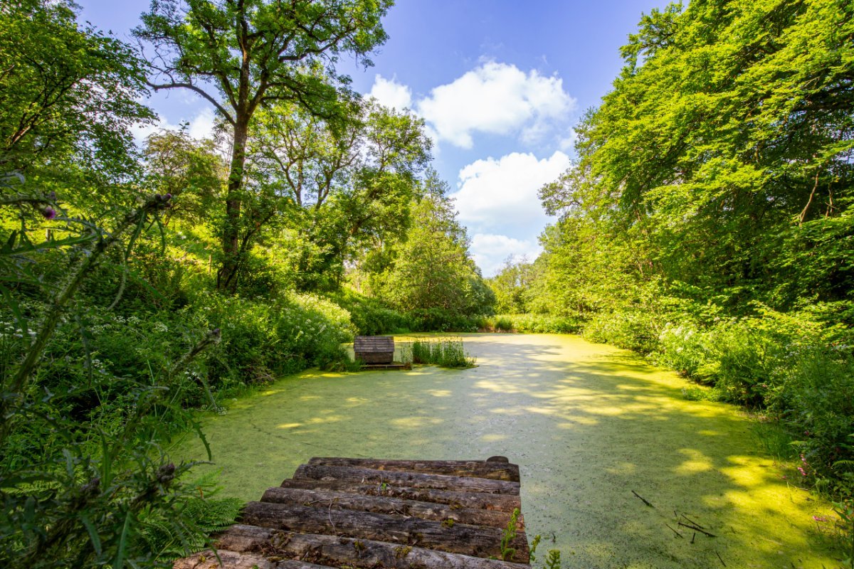 4 bedroom house, Cookbury, Holsworthy EX22 - Available