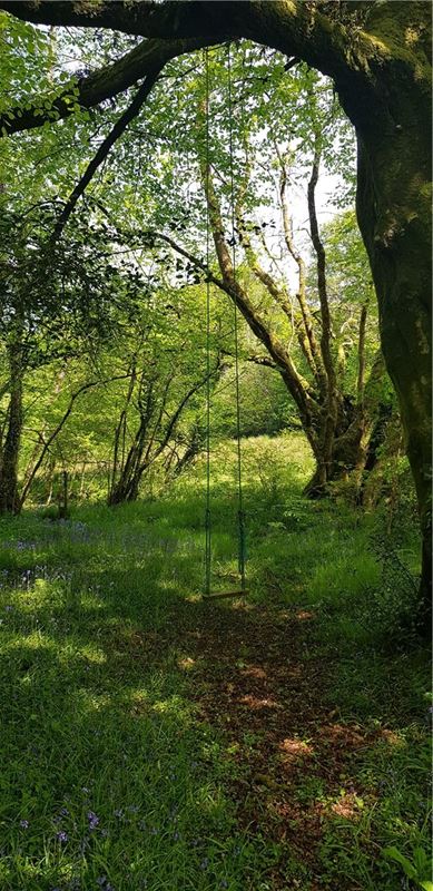 4 bedroom house, Cookbury, Holsworthy EX22 - Available