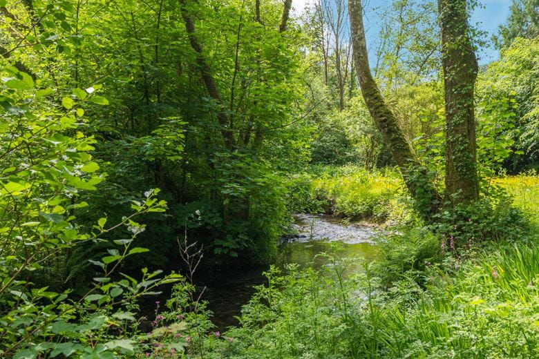 17.7 acres Country Estate, Muddiford, Barnstaple EX31 - Available