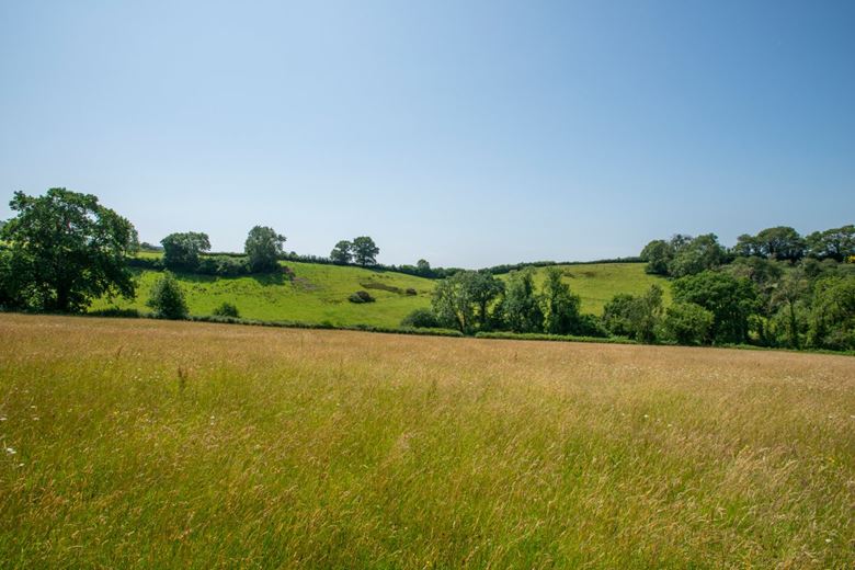 36.9 acres House, East Hill, Ottery St. Mary EX11 - Sold STC