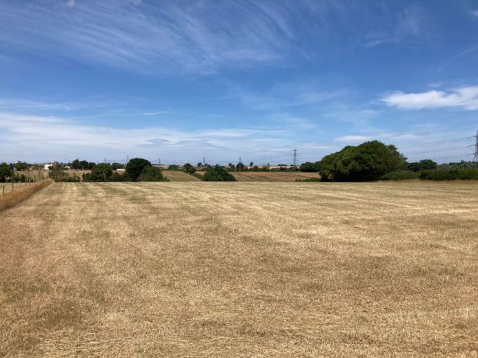 3.1 acres Land, Lot 2: Land At Goathurst, Goathurst TA5 - Available