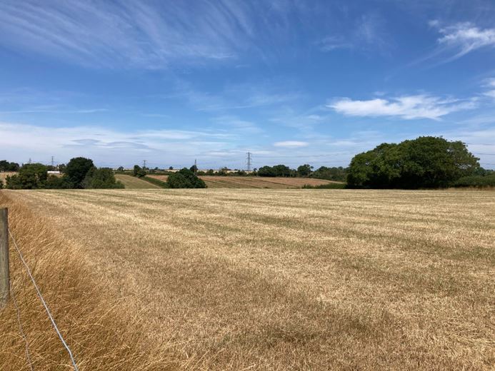 3.1 acres Land, Lot 2: Land At Goathurst, Goathurst TA5 - Available
