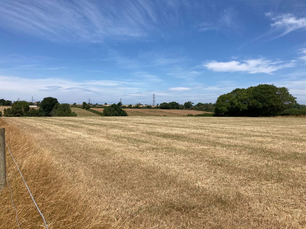 3.1 acres Land, Lot 2: Land At Goathurst, Goathurst TA5 - Sold