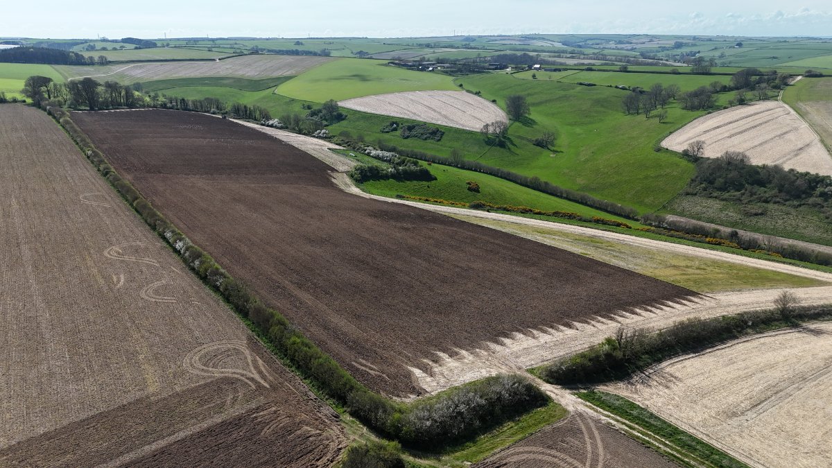 86.1 acres Land, Lot 2: Land At Cruxton Manor Farm, Cruxton DT2 - Available