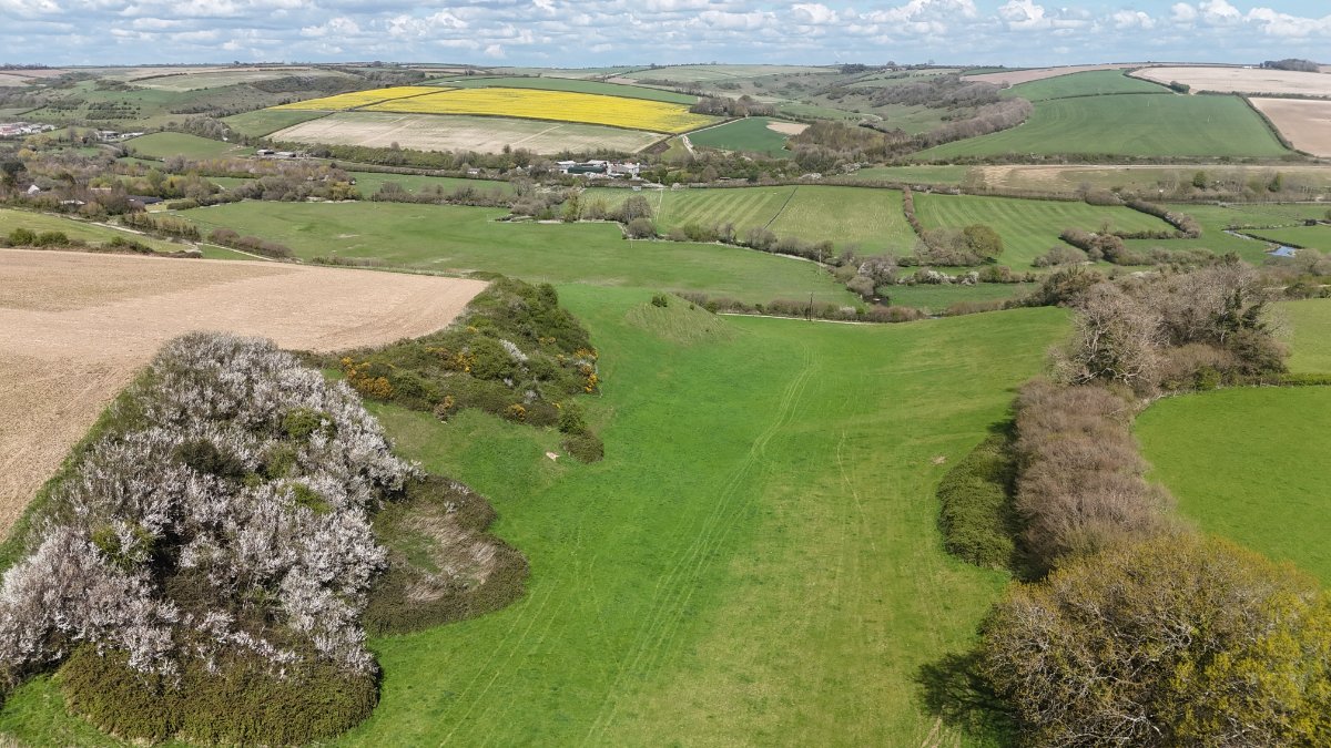 86.1 acres Land, Lot 2: Land At Cruxton Manor Farm, Cruxton DT2 - Available