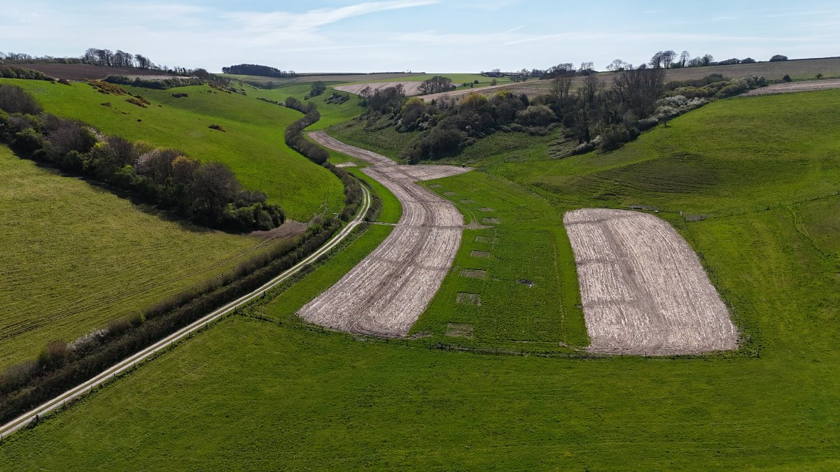 74.3 acres Land, Lot 4: Land At Cruxton Manor Farm, Cruxton DT2 - Available