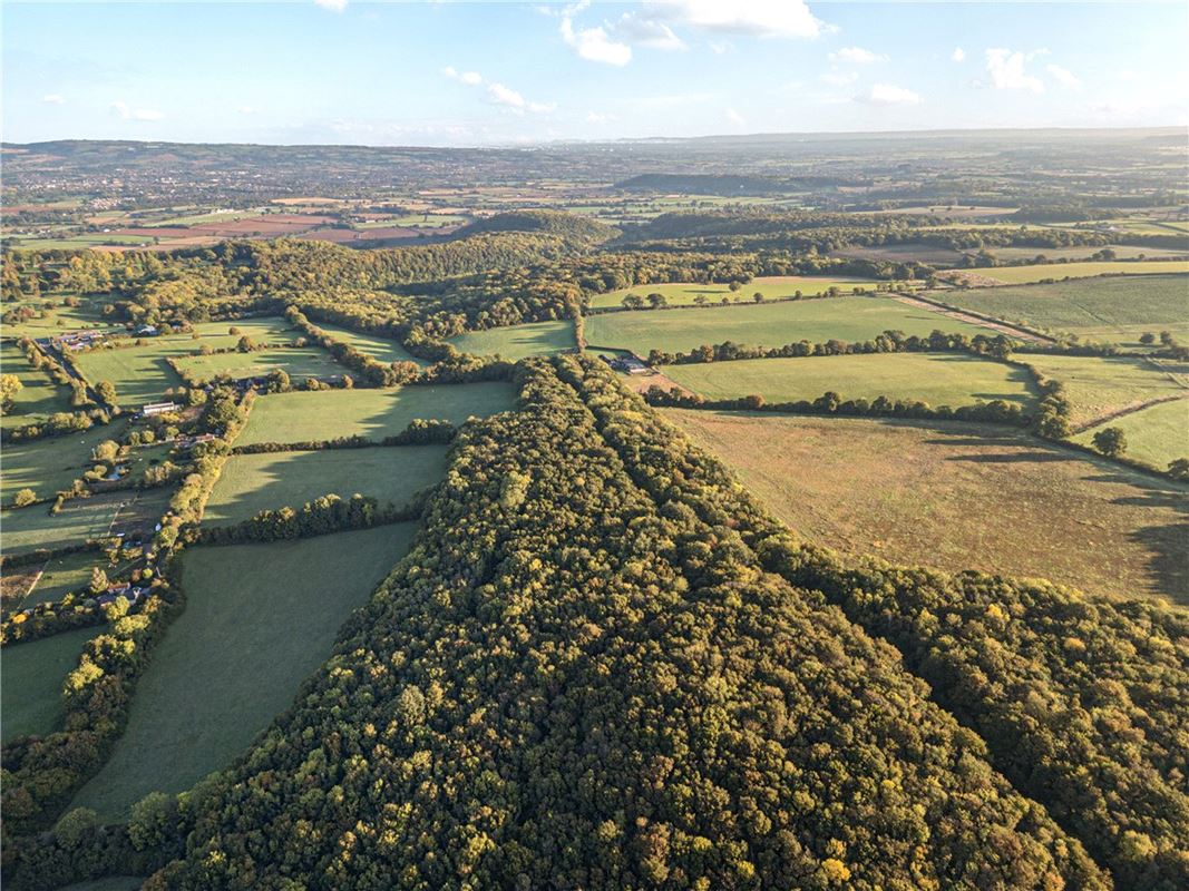 25.5 acres Land, Blake's Copse and Whitford Copse, Corfe TA3 - Available