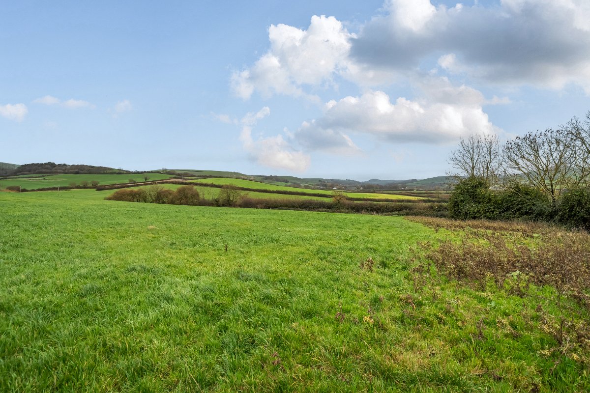 172 acres Farm, Long Bredy, Dorchester DT2 - Available