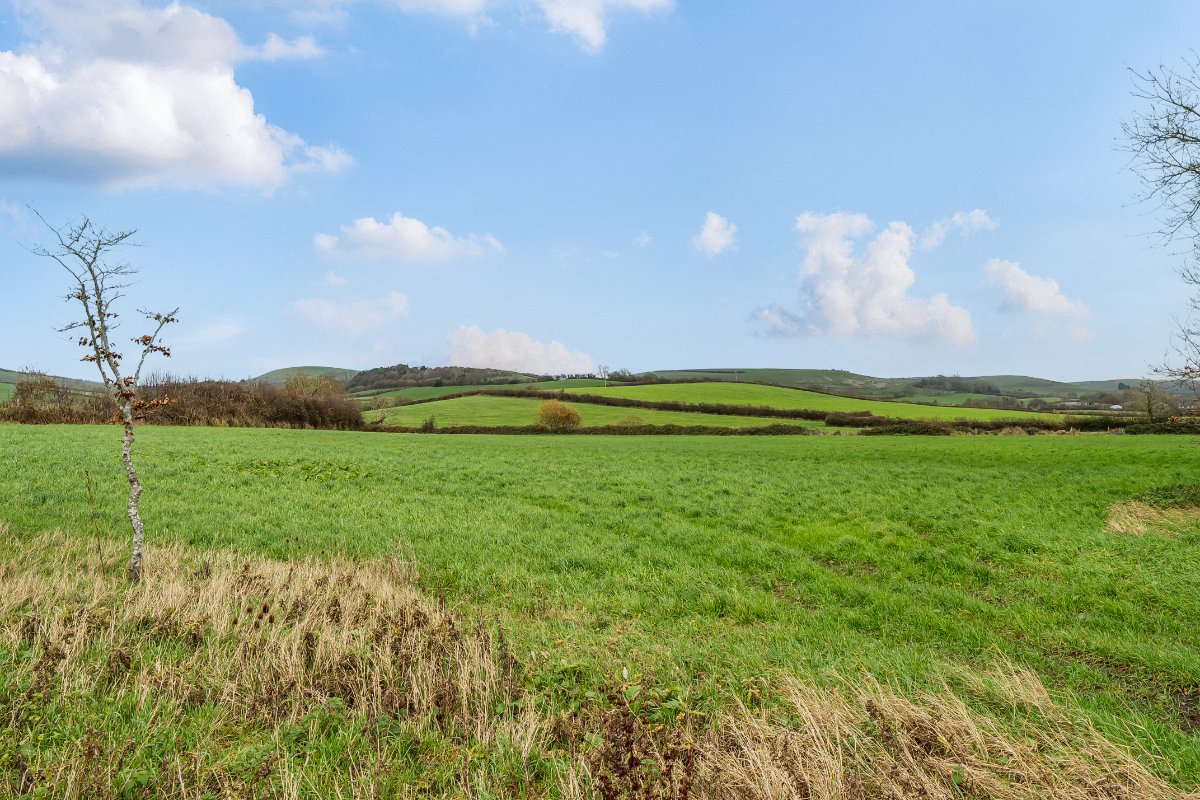 172 acres Farm, Long Bredy, Dorchester DT2 - Available