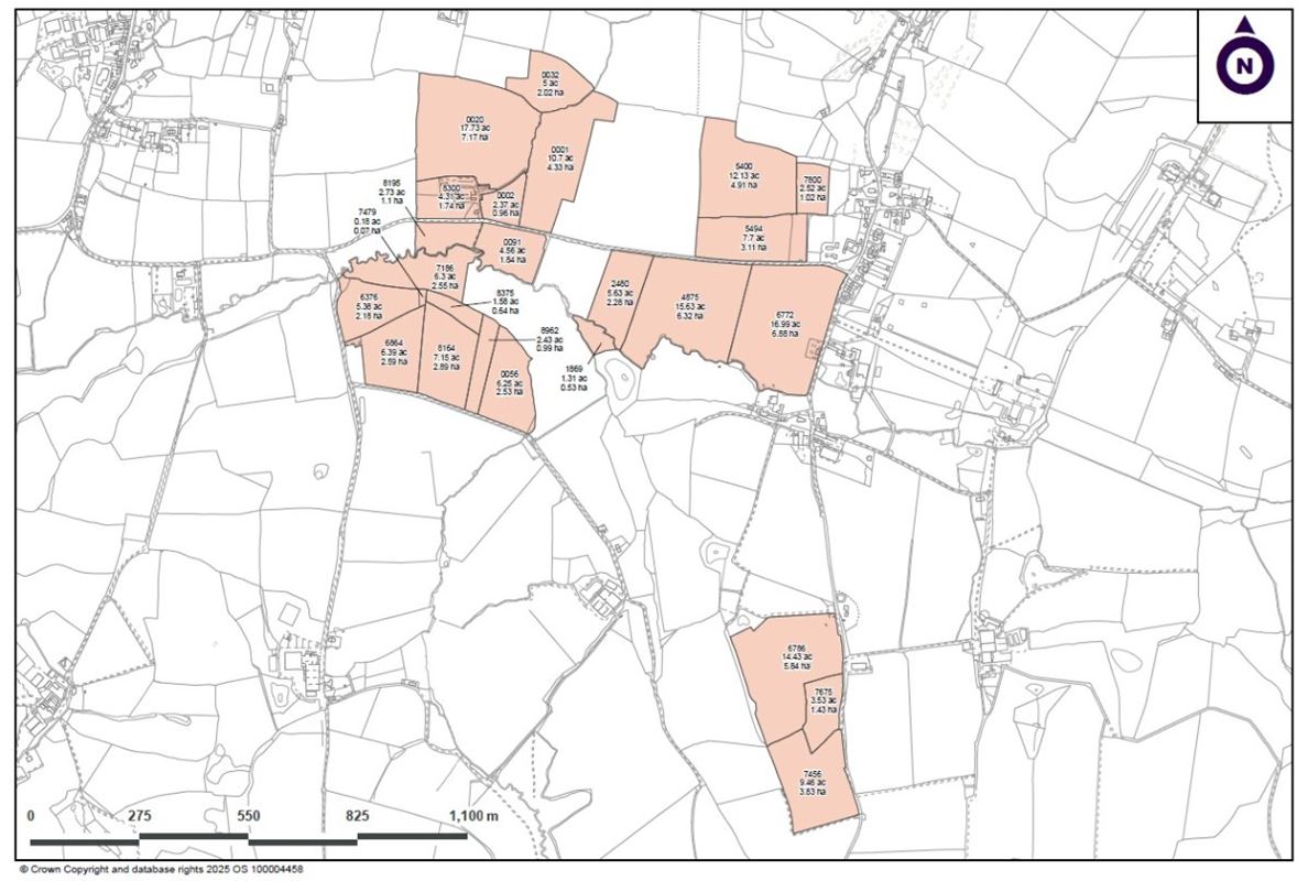 172 acres Farm, Long Bredy, Dorchester DT2 - Available
