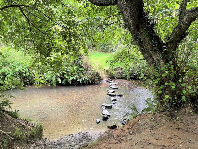 16.2 acres Land, Marhamchurch, EX23 - Sold