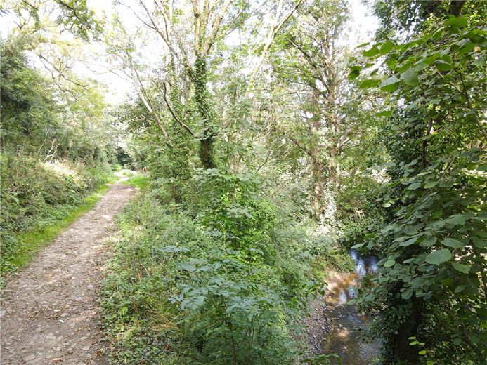 16.2 acres Land, Marhamchurch, EX23 - Sold