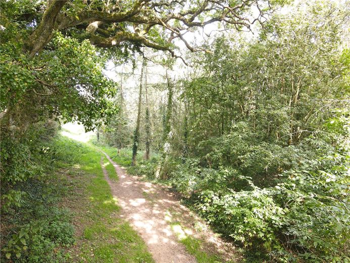 16.2 acres Land, Marhamchurch, EX23 - Sold