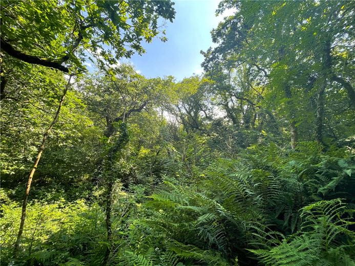 19.4 acres Land, Morwenstow, Bude EX23 - Sold