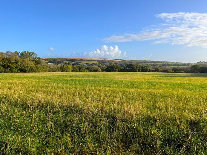 70.7 acres Land, Zelah, Truro TR4 - Sold