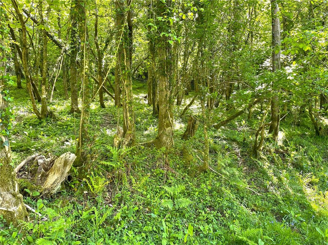 4.5 acres Land, Clerkenwater, Bodmin PL30 - Sold