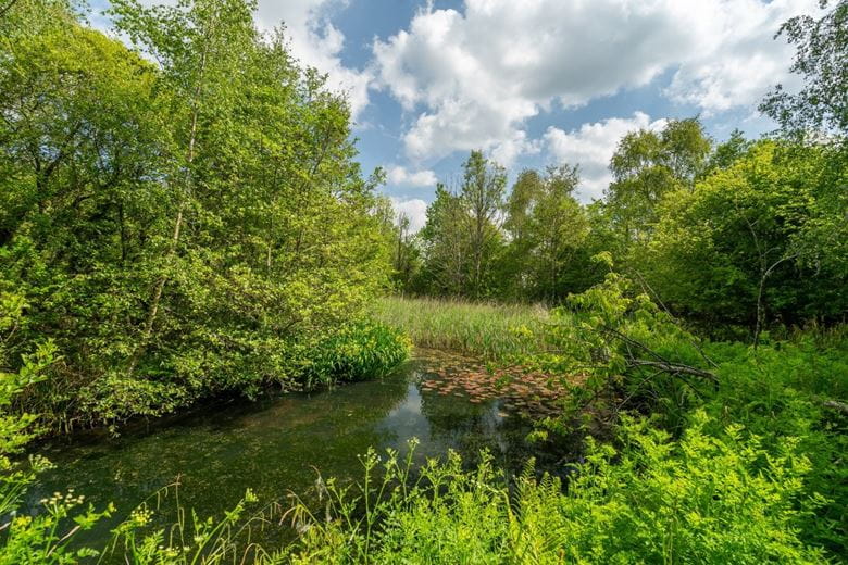 49.5 acres Farm, Tresamble, Gwennap TR16 - Sold