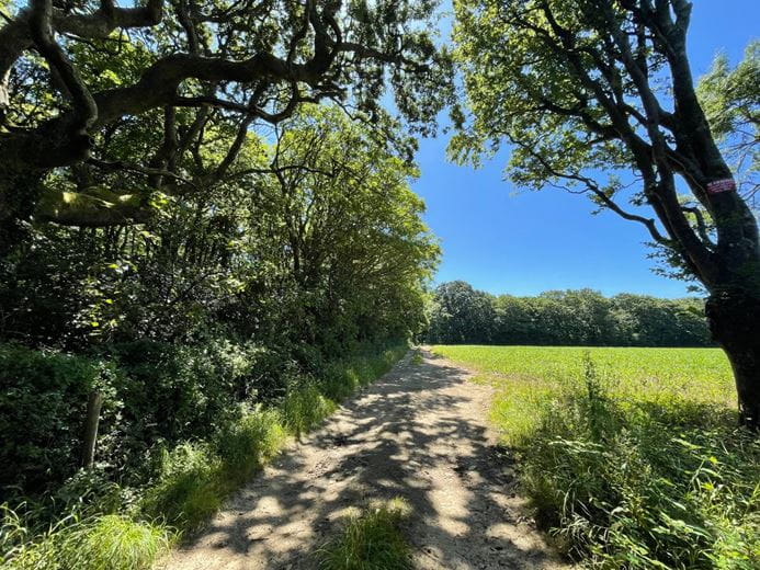 41.7 acres Land, Praze, Camborne TR14 - Sold