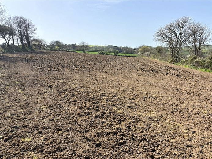 12 acres Land, Land At Tredinnick Wartha, St. Keverne TR12 - Available