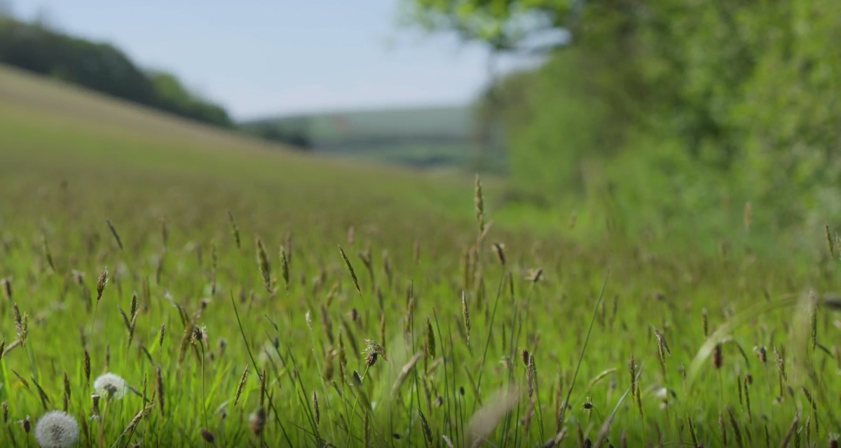 20.7 acres Land, St. Mawgan, Newquay TR8 - Available