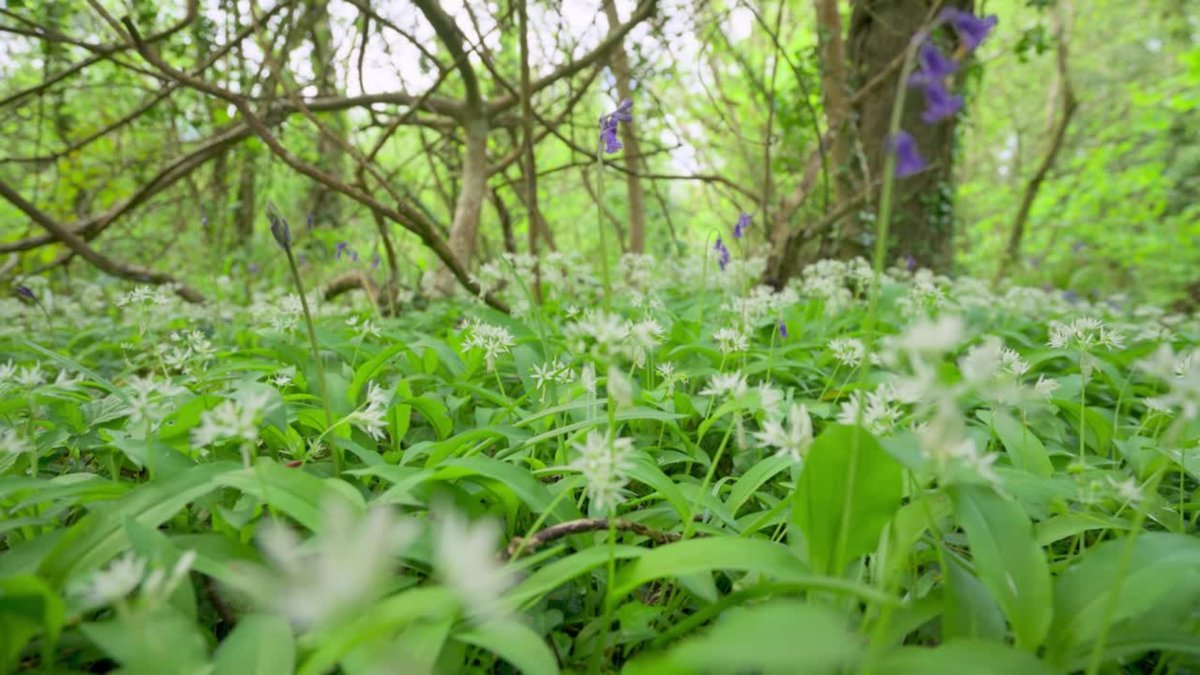 20.7 acres Land, St. Mawgan, Newquay TR8 - Available