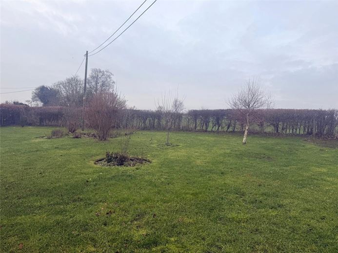 3 bedroom cottage, Tichborne, Alresford SO24 - Available