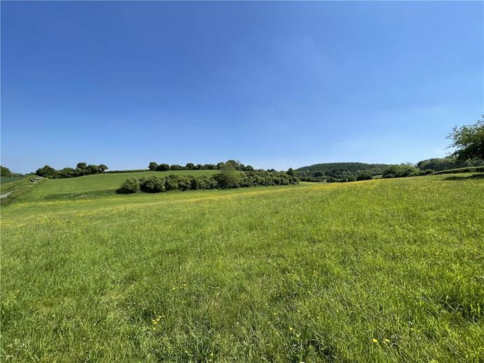 15.2 acres Land, Ecchinswell, Newbury RG20 - Sold STC