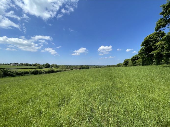 15.2 acres Land, Ecchinswell, Newbury RG20 - Sold