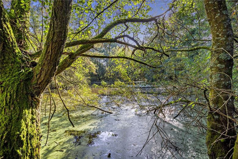 1.4 acres Land, Lower Way, Thatcham RG19 - Sold