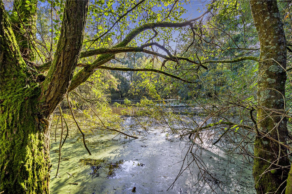 1.4 acres Land, Lower Way, Thatcham RG19 - Sold