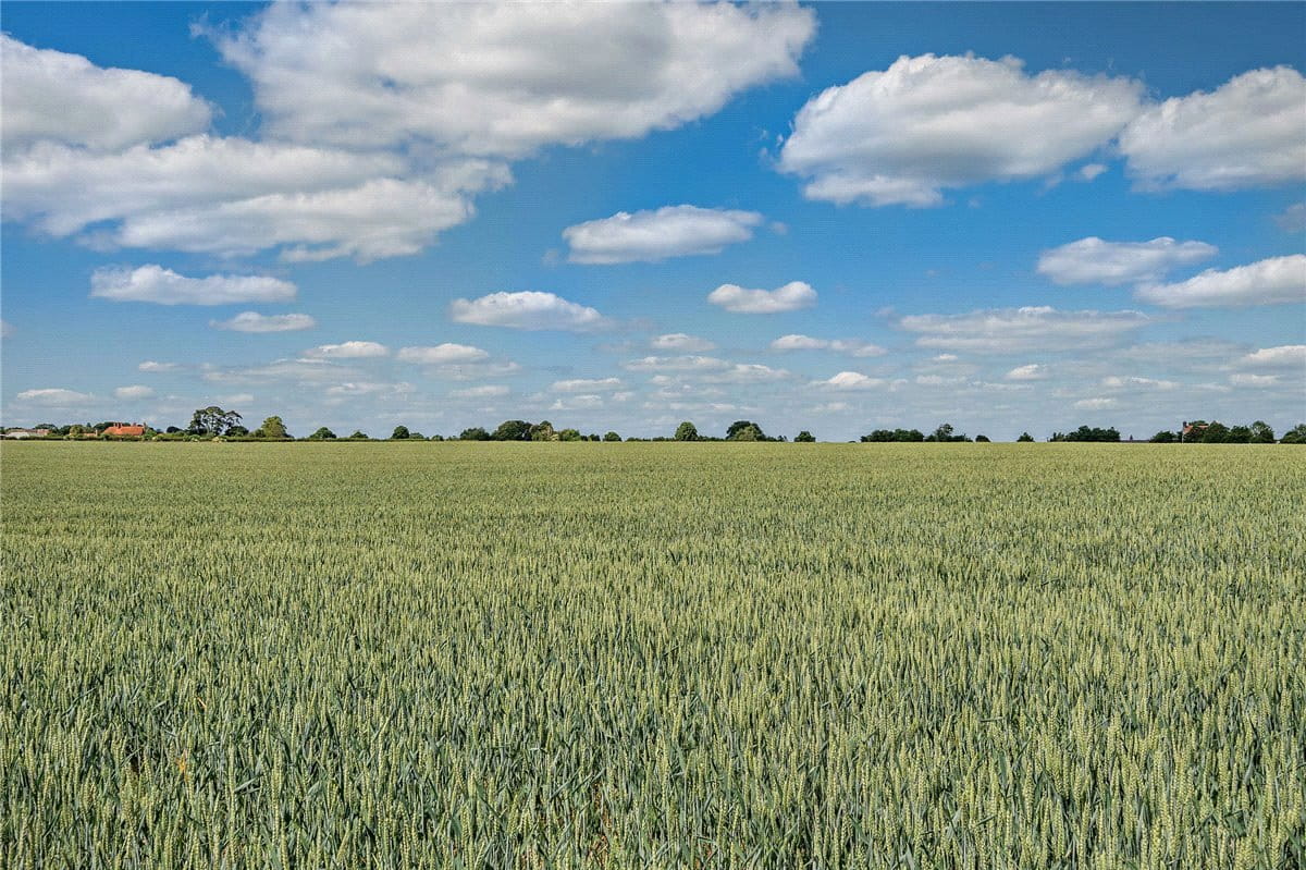 156.1 acres Land, Leckhampstead, Newbury RG20 - Sold STC