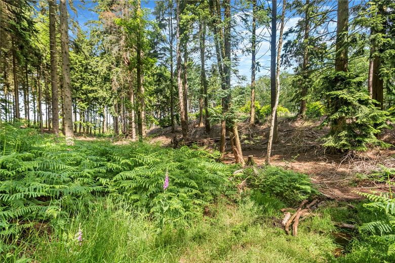 77.2 acres Land, Broad Lane, Upper Bucklebury RG7 - Available