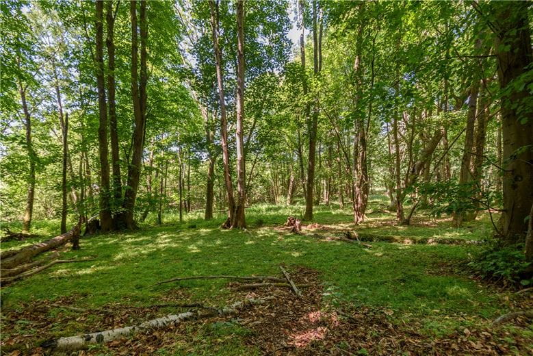 7.8 acres Land, Greenham, Thatcham RG19 - Available