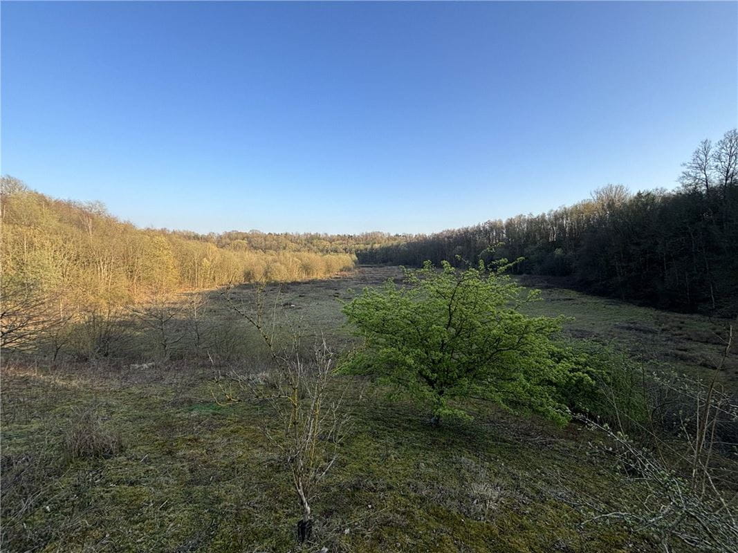  Land, Land At Charing,  - Available