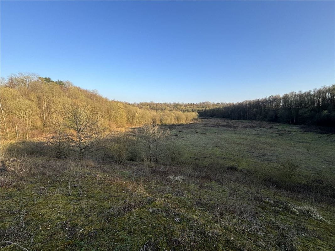  Land, Land At Charing,  - Available