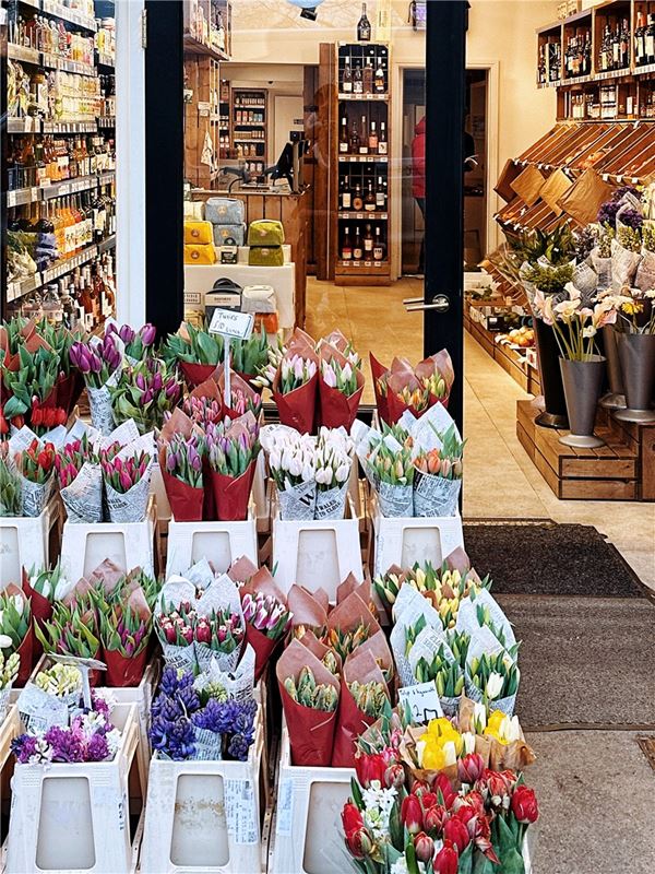 4 bedroom house, London Square Wandsworth Common, Springfield Drive SW17 - Available