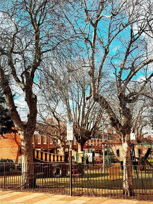 4 bedroom house, London Square Wandsworth Common, Springfield Drive SW17 - Available