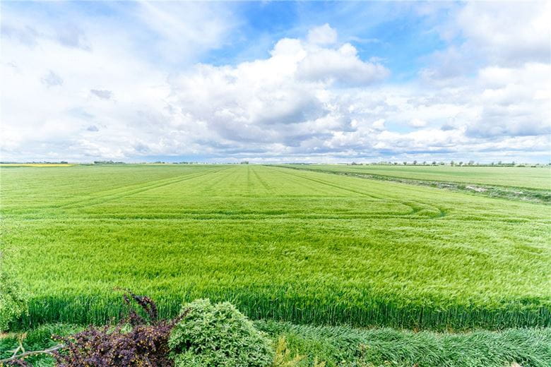 2 bedroom cottage, Channel Road, Sunk Island HU12 - Sold