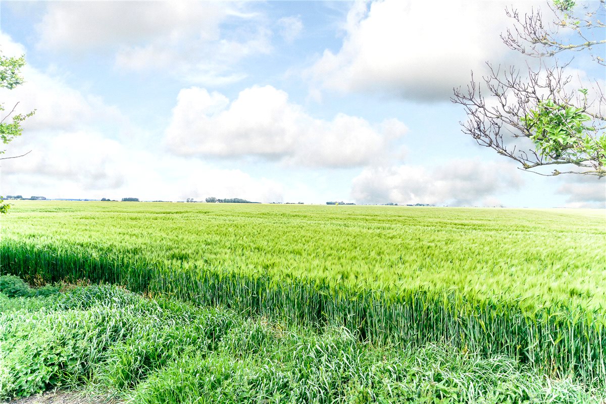 2 bedroom cottage, Channel Road, Sunk Island HU12 - Sold