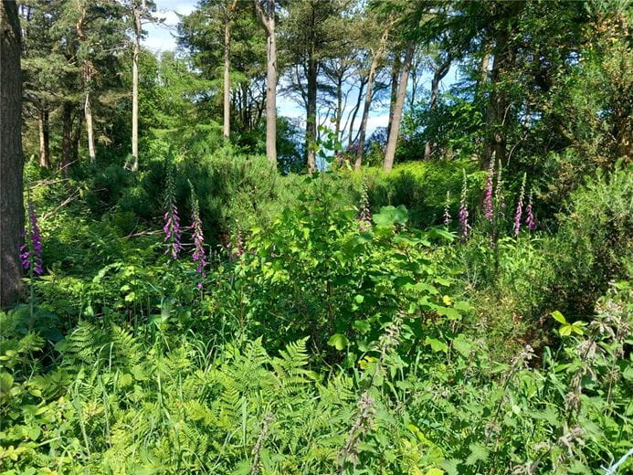  Land, Staintondale Road, Cloughton YO13 - Available