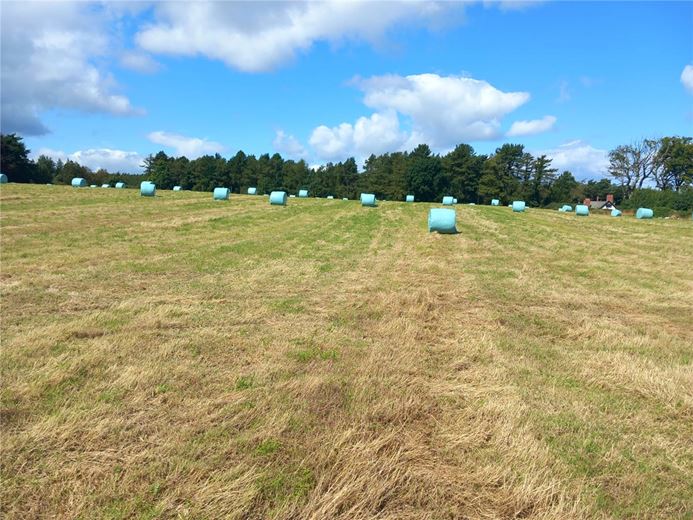  Land, Staintondale Road, Cloughton YO13 - Available