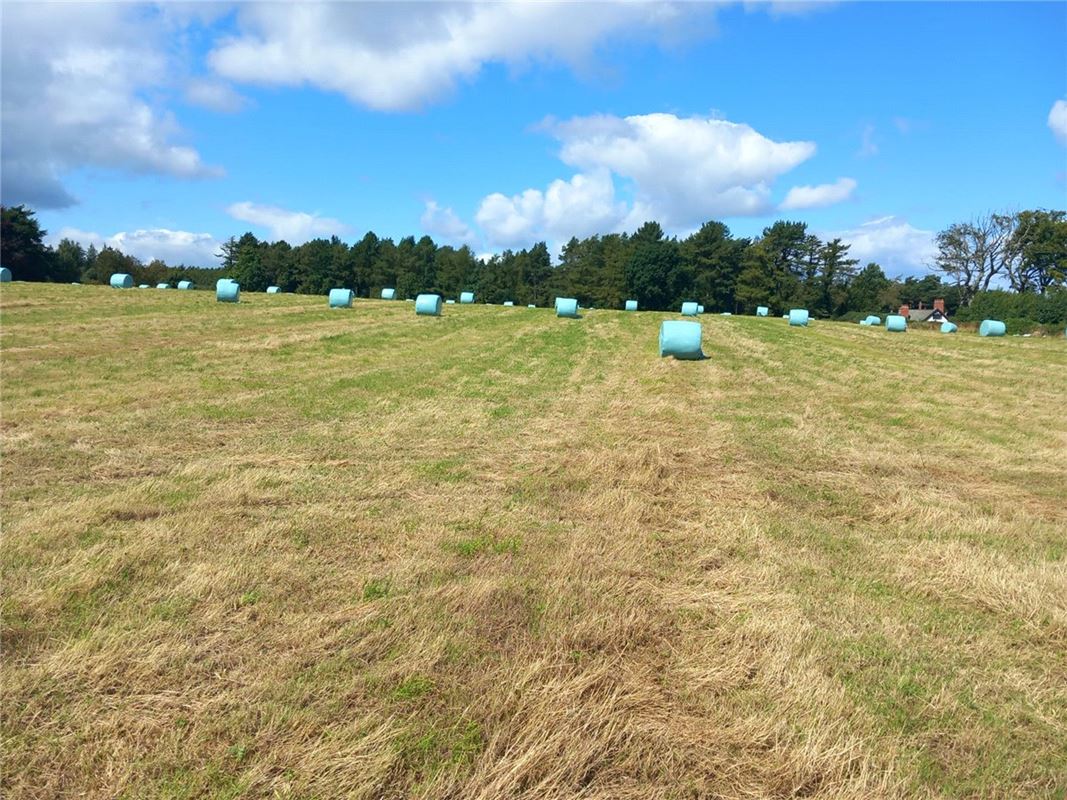  Land, Staintondale Road, Cloughton YO13 - Available