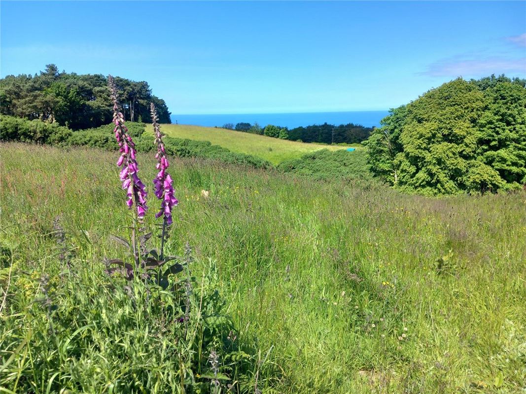  Land, Staintondale Road, Cloughton YO13 - Available